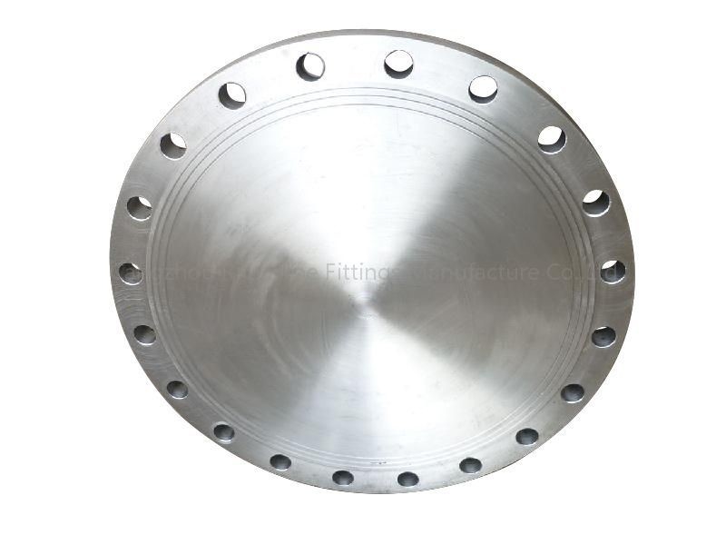 STD XS SCH 40 Steel Flanges Flange Forged Stainless Steel 5K SO WN